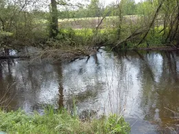 Örtze (Winsen/Aller)-3