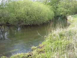 Örtze (Winsen/Aller)