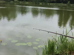 Erlensee (Angelbachtal)
