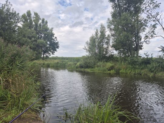 Wümme-Südarm (Ottersberg)