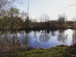 Halbmondsee (Kappel-Grafenhausen)-1