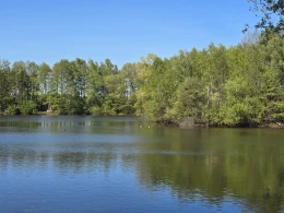 Brocksee-4