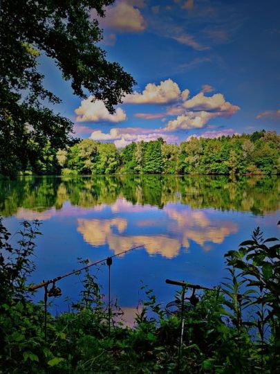 Brocksee