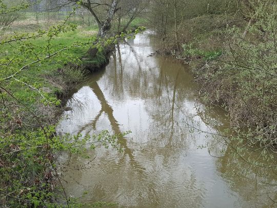 Johannisbach (Bielefeld)-1