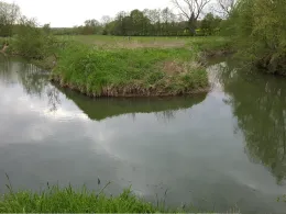 Johannisbach (Bielefeld)-2