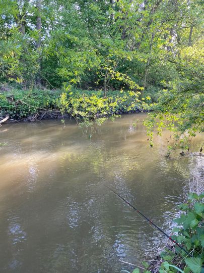 Johannisbach (Bielefeld)-4