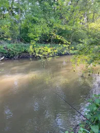 Johannisbach (Bielefeld)-4