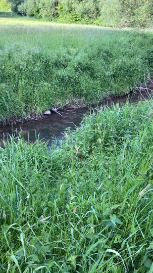 Johannisbach (Bielefeld)-3