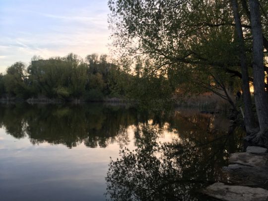 Probstsee (Möhringen)-3