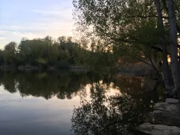 Probstsee (Möhringen)-3