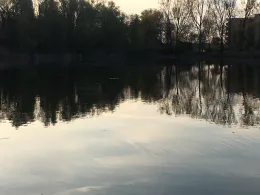 Probstsee (Möhringen)-1