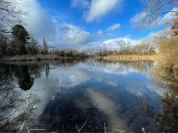 Probstsee (Möhringen)-2