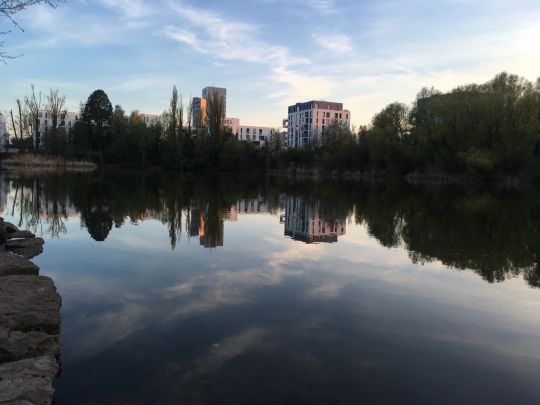 Probstsee (Möhringen)-4