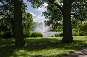 Schwanenteich (Rostock)-2