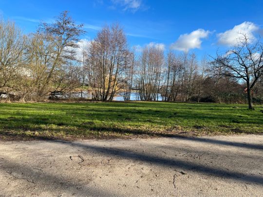 Schwanenteich (Rostock)-3