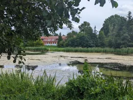 Schwanenteich (Rostock)-1