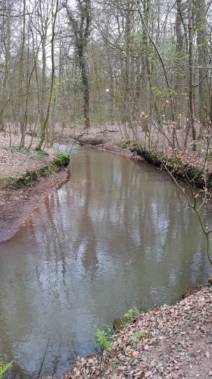 Welse (Delmenhorst)-0