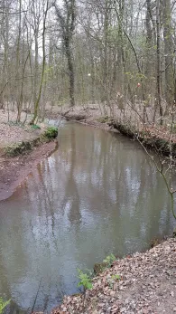 Welse (Delmenhorst)-0