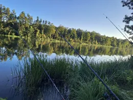Donau (Elchingen-Nersingen)-2