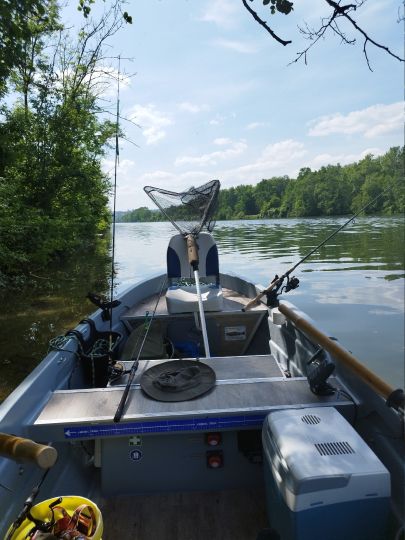 Donau (Elchingen-Nersingen)-4