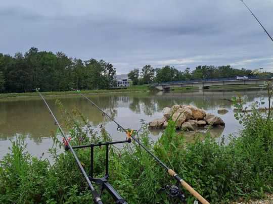Donau (Elchingen-Nersingen)-1