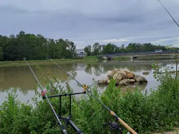 Donau (Elchingen-Nersingen)-1