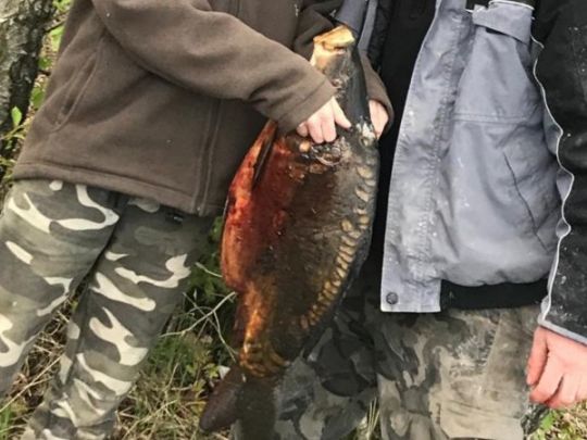 Privatteich bei Mülsen-2