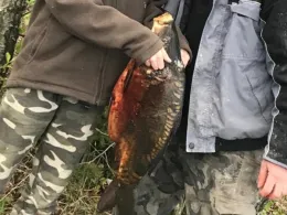 Privatteich bei Mülsen-2