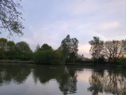 Südenteich (OLG-Teich)-2