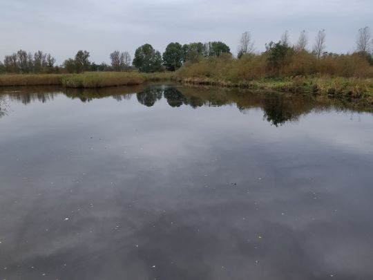 Teich am Ferienpark Holm-1