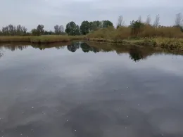 Teich am Ferienpark Holm-1