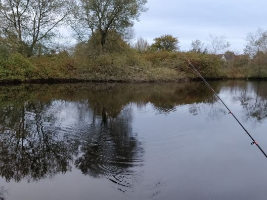 Teich am Ferienpark Holm-0