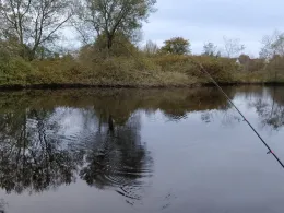 Teich am Ferienpark Holm-0
