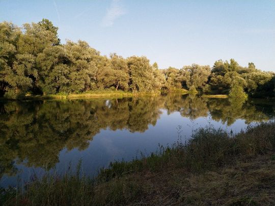 Wallersprung (Pettstadt)-3