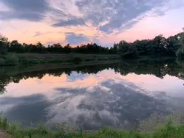 Wallersprung (Pettstadt)-1