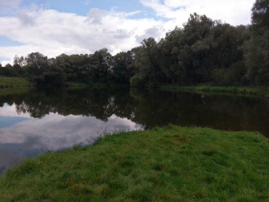 Wallersprung (Pettstadt)-2