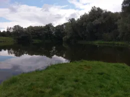 Wallersprung (Pettstadt)-2