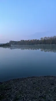 Kiesteiche Epple (Seltz)-4