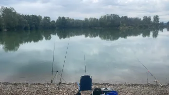 Kiesteiche Epple (Seltz)-2