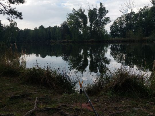 Wasser (Berbisdorf)-3