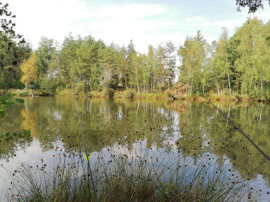 Wasser (Berbisdorf)-4