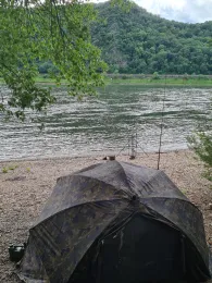 Rhein (Bad Breisig)-4