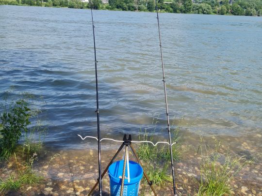 Rhein (Bad Breisig)-3