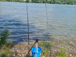 Rhein (Bad Breisig)-3