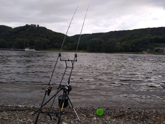 Rhein (Bad Breisig)-2