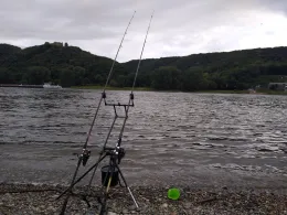 Rhein (Bad Breisig)-2