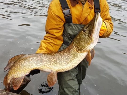 Schlachtensee (Berlin)-2