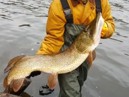 Schlachtensee (Berlin)-2