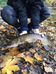 Schlachtensee (Berlin)-1