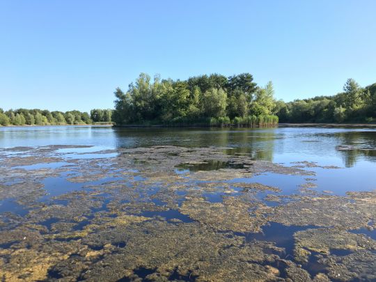 Speicher Dornswalde angeln
